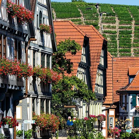 Gemuetlich Wohnen Ueber Besigheim